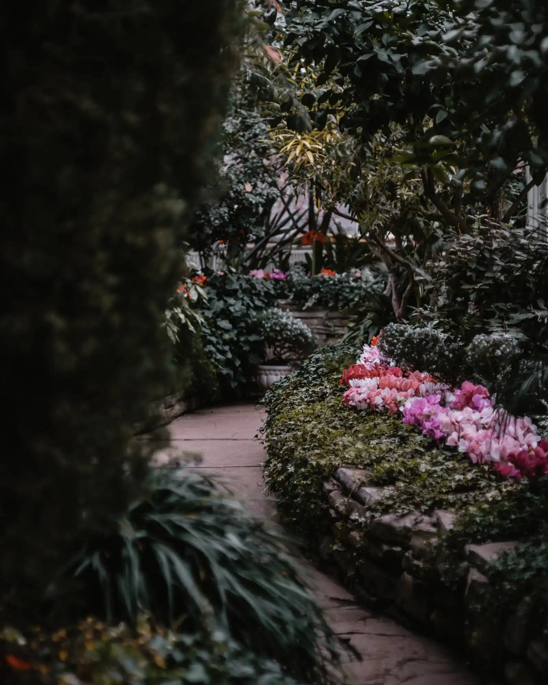 Winding garden path bordered by pink flowers and lush foliage.