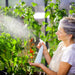 Gardener watering plants inside a Glory greenhouse with diffused light panels