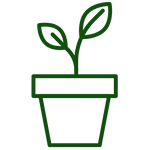 Green leafy plant in pot the main object is a small, vibrant green potted plant with two leaves and a simple design.