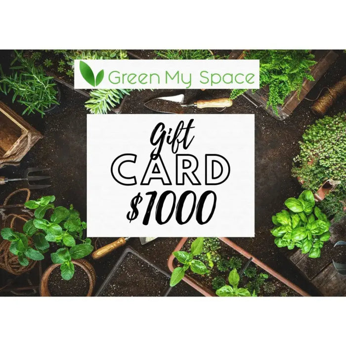 $1,000.00 Gift Card