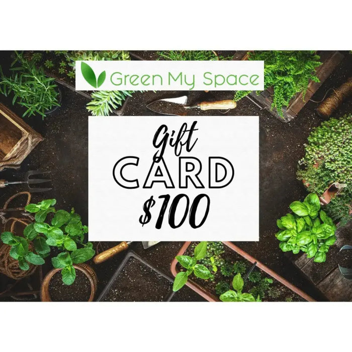 $100.00 Gift Card