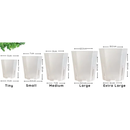 Translucent Square Grow Pots - Extra Large (5 Packs)