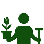 Green tulip in pot with shovel handle.