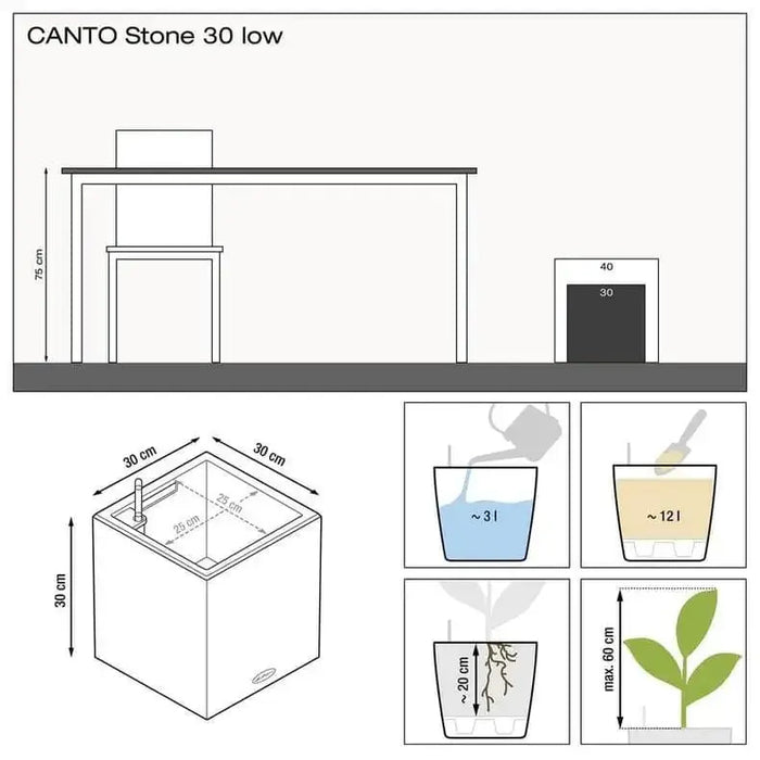 CANTO Stone 30 Low