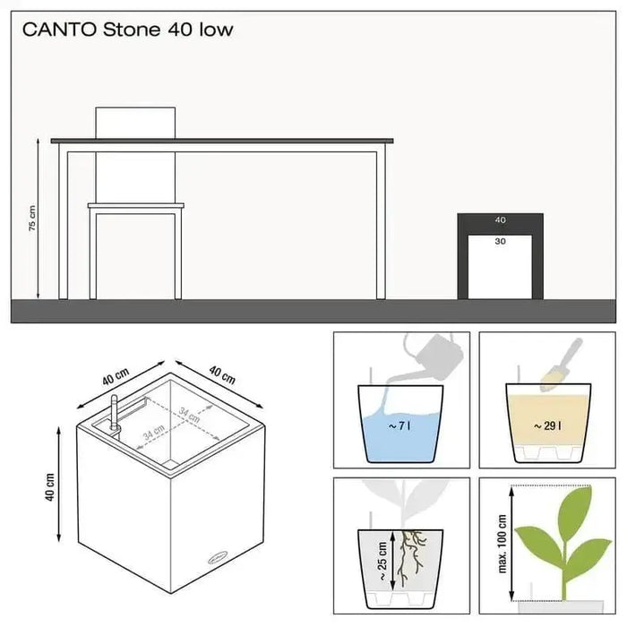 CANTO Stone 40 Low