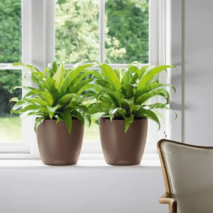 lechuza classico self watering polypropylene indoor outdoor planter Lechuza CLASSICO Colour 35 Self-watering Indoor/Outdoor Planter — Green My Space