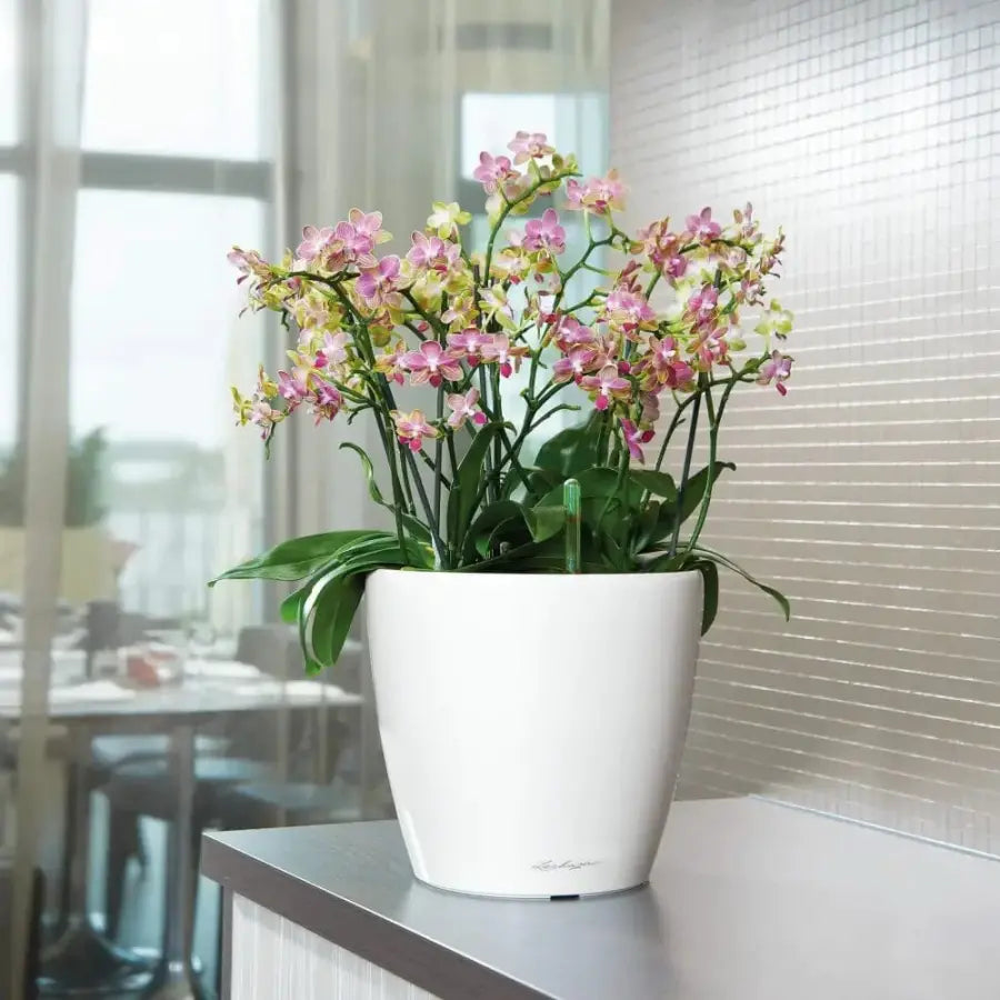 lechuza classico self watering polypropylene indoor outdoor planter Lechuza CLASSICO LS 35 Premium Stylish Self-Watering Planter — Green My Space