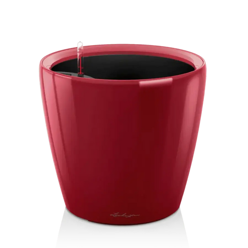 High Gloss Scarlet Red CLASSICO LS 43 Premium