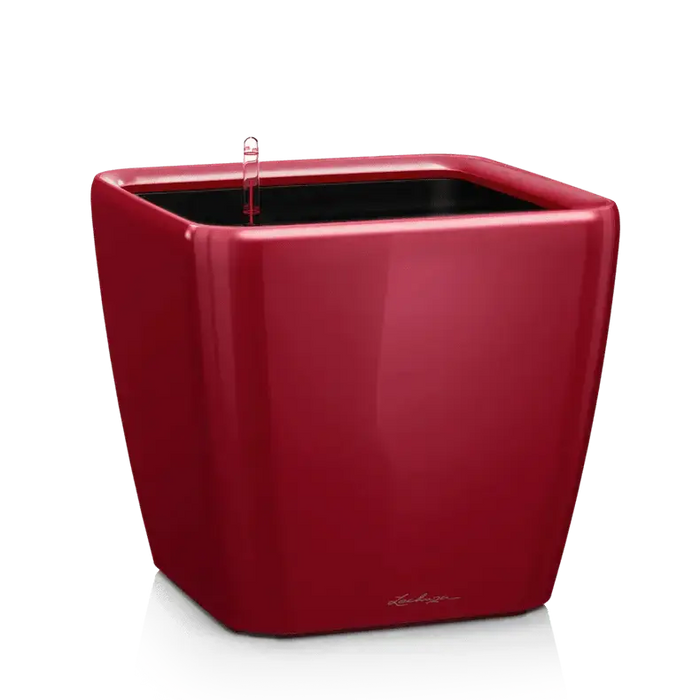 High Gloss Scarlet Red QUADRO LS 35 Premium