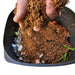 Bokashi Composting Additive with Storage Bucket