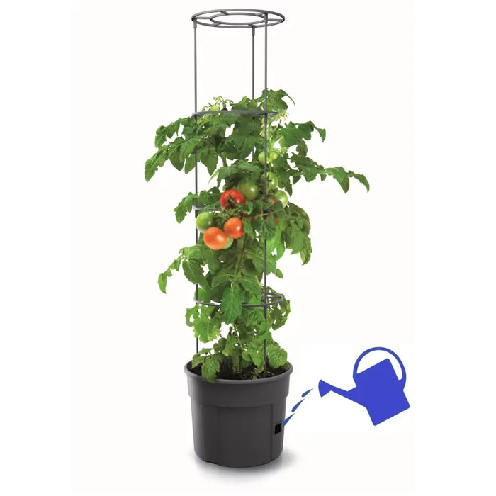 Maze Tomato Grower Planter 400