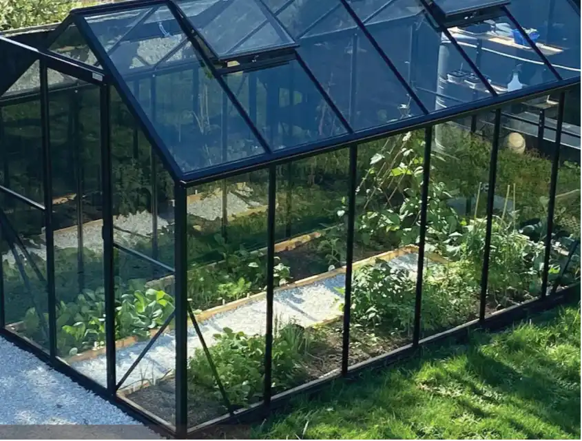 A modern glass greenhouse with a black frame, containing various plants and a gravel path.