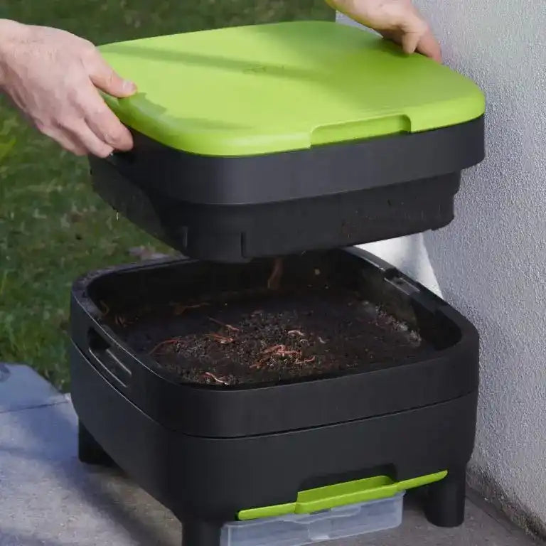 Maze Worm Farm With 3 Shelf Kit & 1000 (Approx)