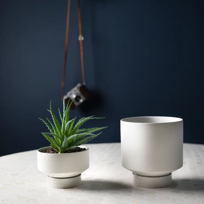 ’The Rangers’ Porcelain Indoor Planter & Plate