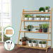 Bamboo Foldable Plant Stand
