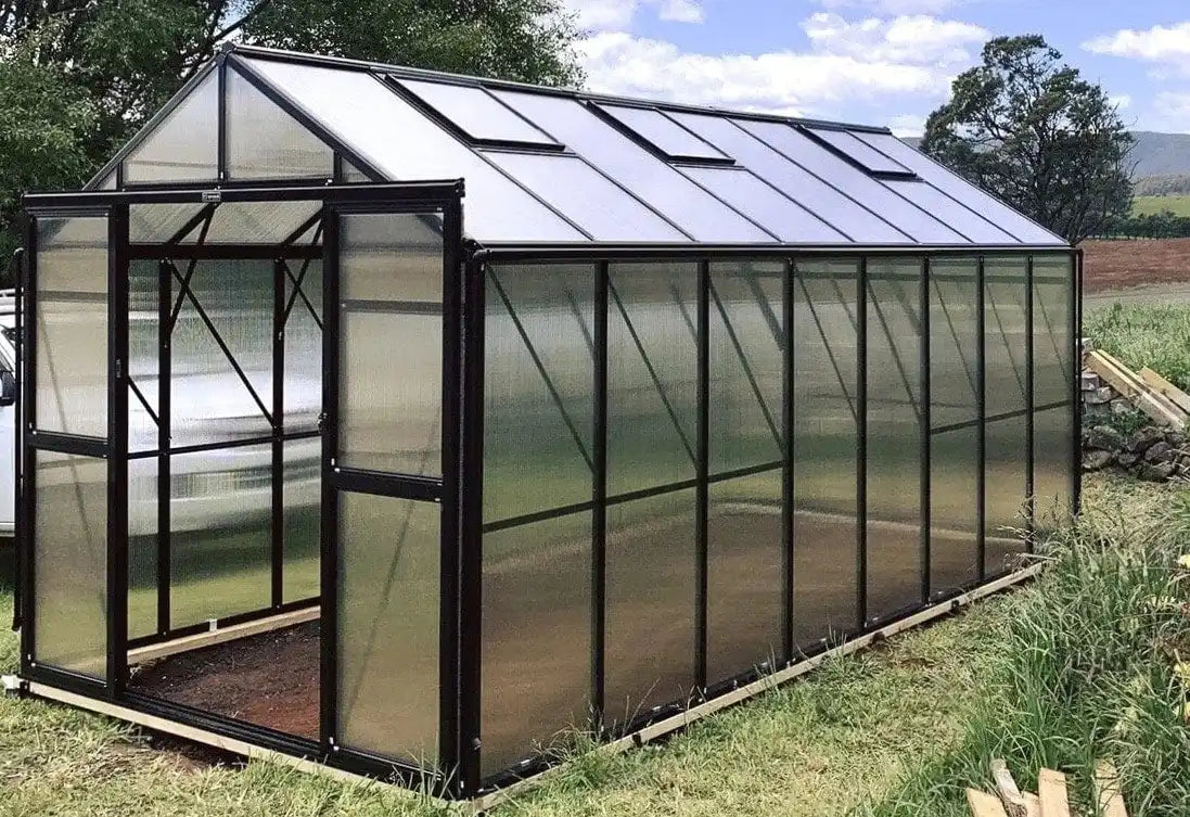 Polycarbonate greenhouse with black aluminum frame and roof vents.