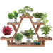 6 Tier Wooden Plant Stand - Home & Garden > Home & Garden Others