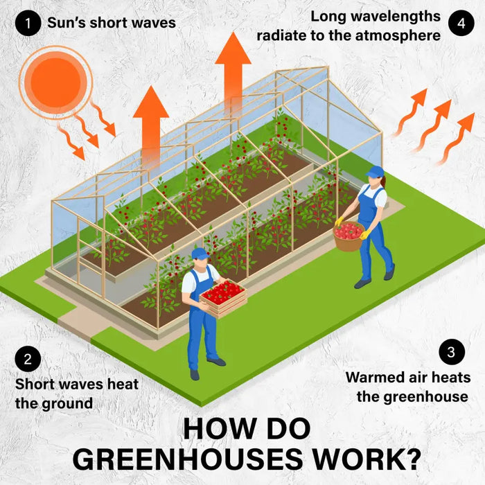 Home Ready Apex Mini Garden Greenhouse Shed PVC 4 Tier - Home & Garden > Green Houses