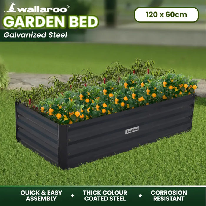 Wallaroo Garden Bed 120 x 60 x 30cm Galvanized Steel - Black - Home & Garden > Garden Beds