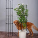 133cm 4- Bar Plant Support Trellis