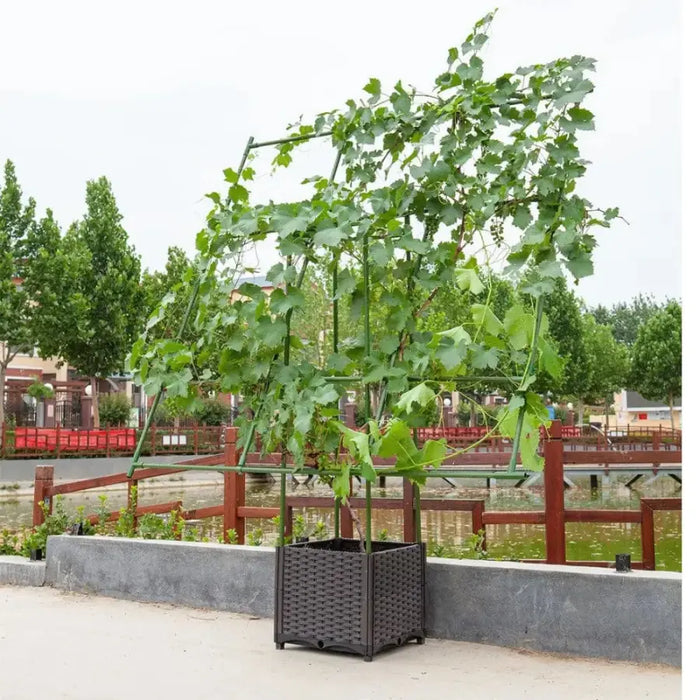 160cm Rectangular Inclined Plant Support Frame