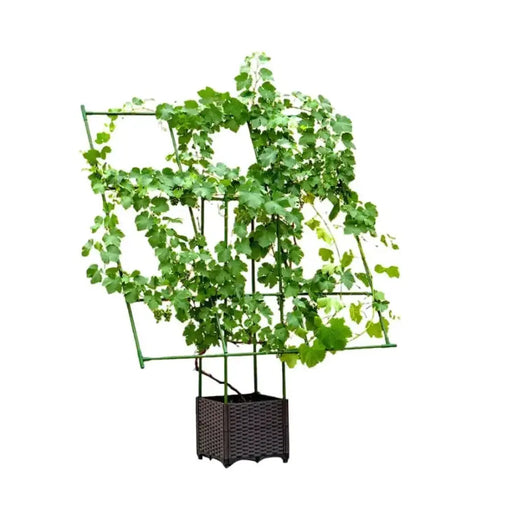 160cm Rectangular Inclined Plant Support Frame