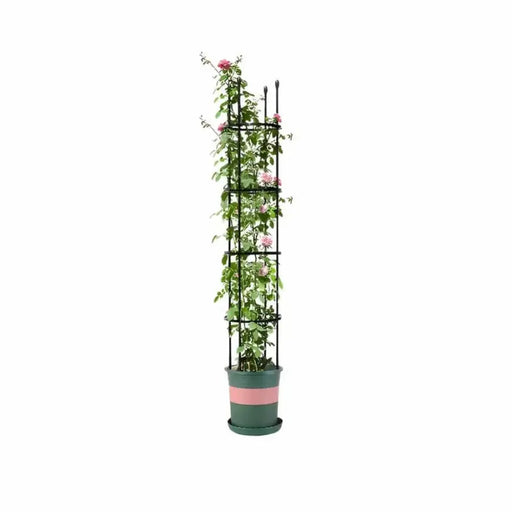 163cm Plant Support Trellis with Rings