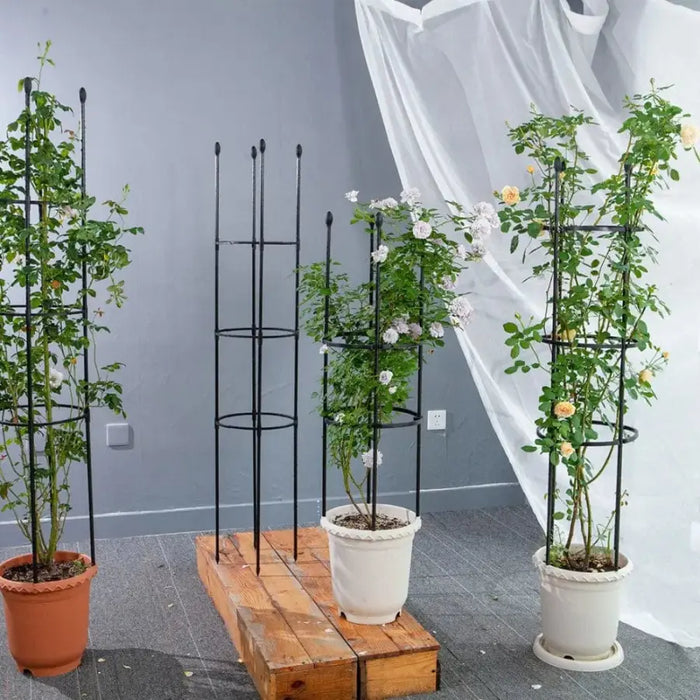 indoor plant support rings 163cm Plant Support Trellis with Rings