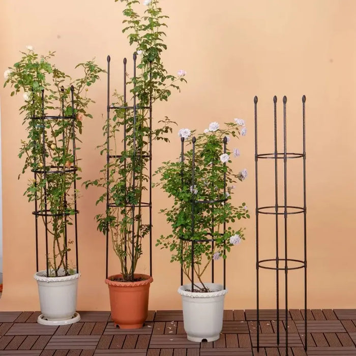 indoor plant support rings 163cm Plant Support Trellis with Rings