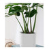 70cm Black & White Tripod Plant Stand