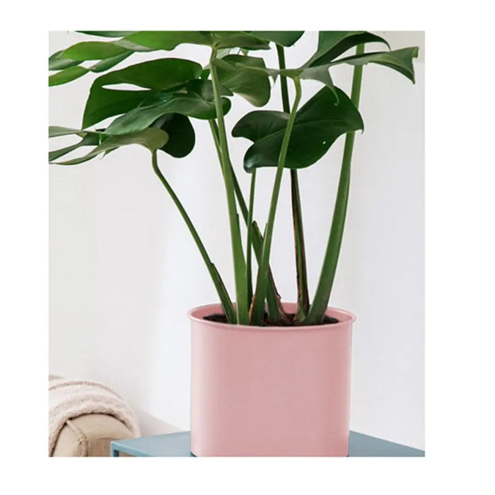 70cm Tripod Pink & Black Plant Stand