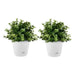 Set of 2 x 19.5 cm White Plastic Self Watering Planter for Indoor or Outdoor