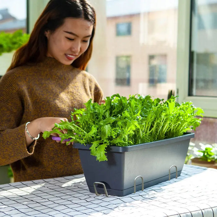 Set of 5 x 49.5cm Black Rectangular Planter