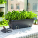 Set of 5 x 49.5cm Black Rectangular Planter