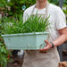 Set of 5 x 49.5cm Green Rectangular Planter