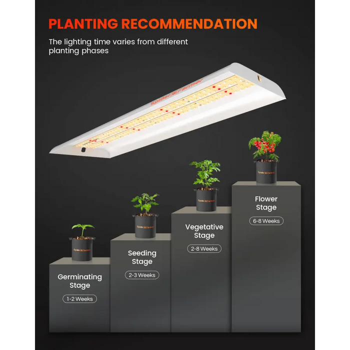 Spider Farmer SF300 33W LED Grow Light Planting Recommendation