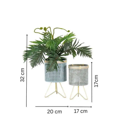 Set of 2 Cirque Footed Plant Stands - Stand