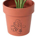 Set of 2 Line-Art planters - Plants & Pots