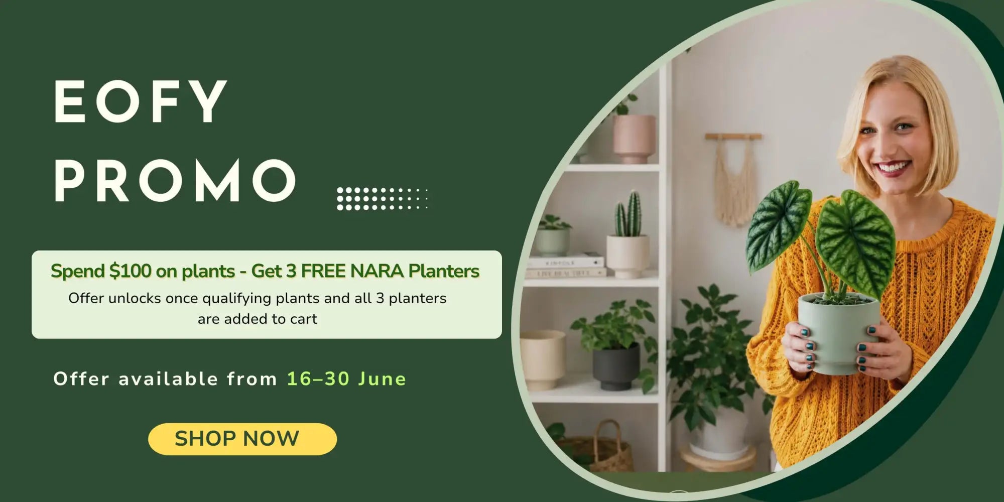 A woman in a yellow knit sweater holds a light green ceramic planter with two large, dark green, wavy-leafed plants.